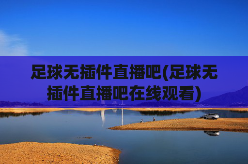 足球无插件直播吧(足球无插件直播吧在线观看)