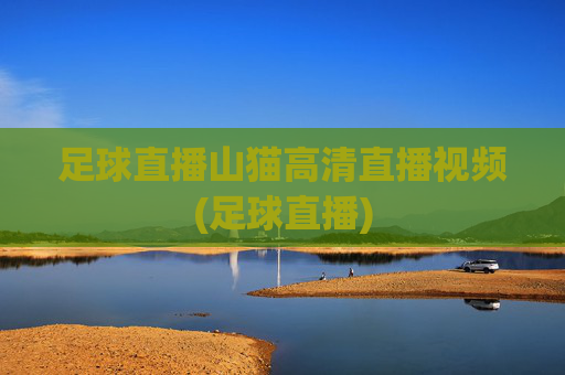 足球直播山猫高清直播视频(足球直播)