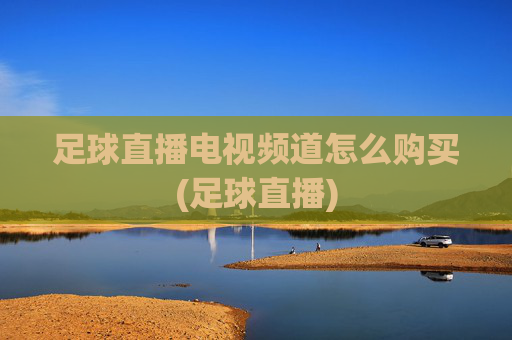 足球直播电视频道怎么购买(足球直播)