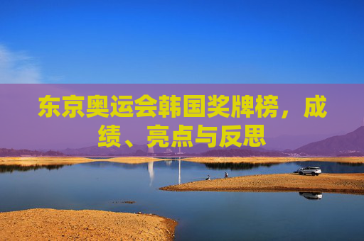 东京奥运会韩国奖牌榜,成绩、亮点与反思