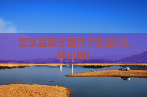 足球直播无插件手机版(足球直播)