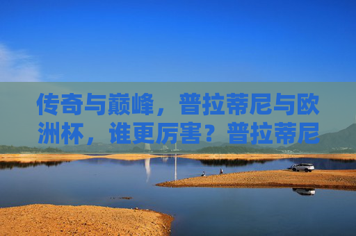 传奇与巅峰,普拉蒂尼与欧洲杯,谁更厉害?普拉蒂尼与欧洲杯,传奇巅峰谁更胜一筹