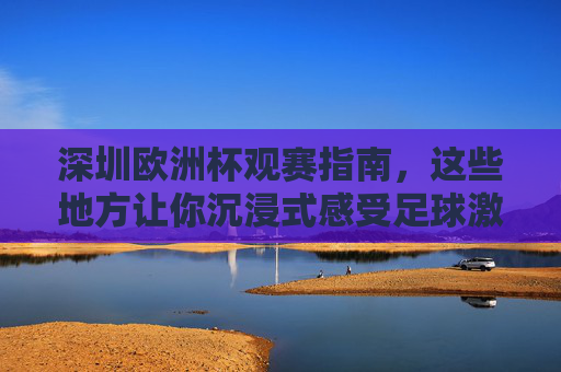 深圳欧洲杯观赛指南，这些地方让你沉浸式感受足球激情，深圳欧洲杯观赛指南，沉浸式感受足球激情