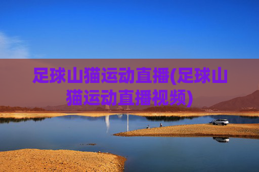 足球山猫运动直播(足球山猫运动直播视频)