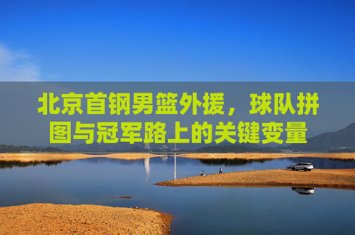 北京首钢男篮外援,球队拼图与冠军路上的关键变量