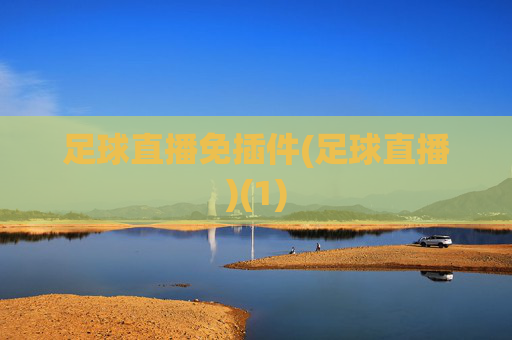 足球直播免插件(足球直播)(1)