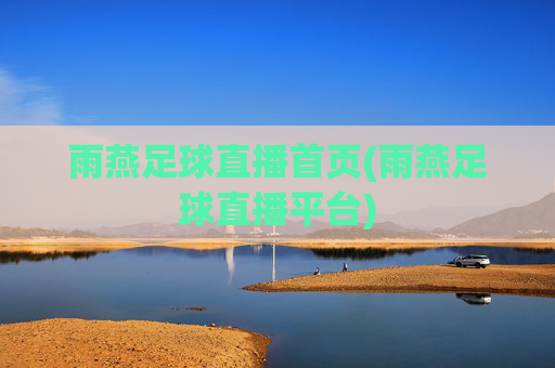 雨燕足球直播首页(雨燕足球直播平台)