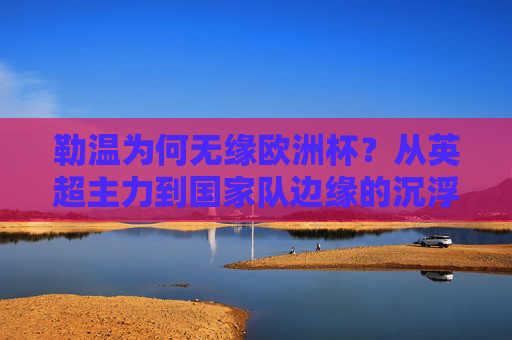 勒温为何无缘欧洲杯？从英超主力到国家队边缘的沉浮之路，勒温无缘欧洲杯，从英超主力到国家队边缘的沉浮