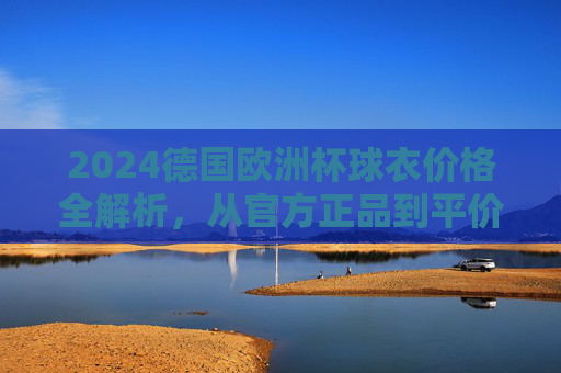 2024德国欧洲杯球衣价格全解析,从官方正品到平价仿品,你需要知道的都在这里,2024德国欧洲杯球衣价格全解析,从官方正品到平价仿品