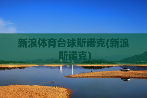 新浪体育台球斯诺克(新浪 斯诺克)