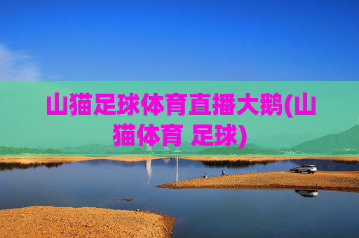 山猫足球体育直播大鹅(山猫体育 足球)