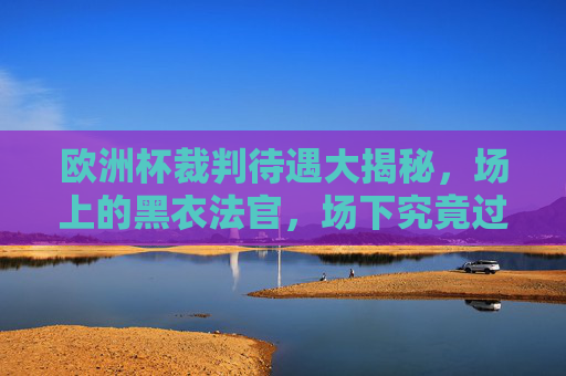 欧洲杯裁判待遇大揭秘,场上的黑衣法官,场下究竟过得如何?