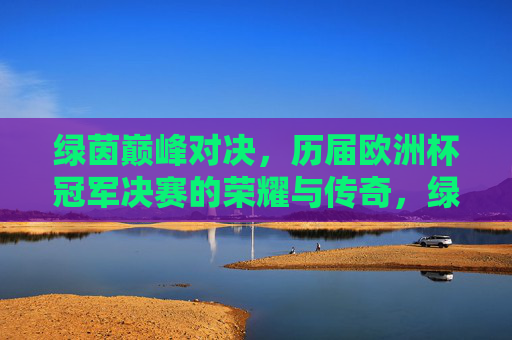 绿茵巅峰对决,历届欧洲杯冠军决赛的荣耀与传奇,绿茵巅峰对决,欧洲杯决赛的荣耀与传奇