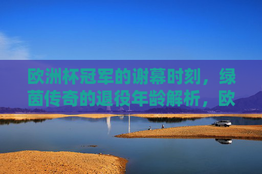 欧洲杯冠军的谢幕时刻,绿茵传奇的退役年龄解析,欧洲杯冠军的谢幕,绿茵传奇退役年龄解析