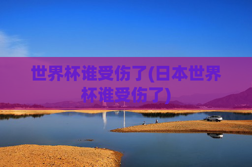 世界杯谁受伤了(日本世界杯谁受伤了)