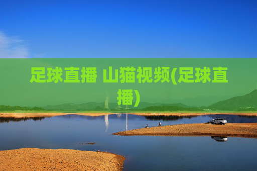 足球直播 山猫视频(足球直播)