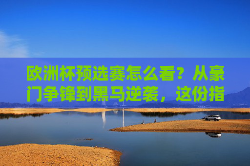 欧洲杯预选赛怎么看？从豪门争锋到黑马逆袭，这份指南让你看懂门道，欧洲杯预选赛指南，豪门争锋与黑马逆袭的门道