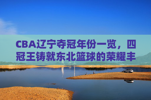 CBA辽宁夺冠年份一览,四冠王铸就东北篮球的荣耀丰碑,辽宁四冠铸就CBA东北篮球荣耀丰碑