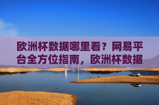 欧洲杯数据哪里看?网易平台全方位指南,欧洲杯数据看网易,全方位指南