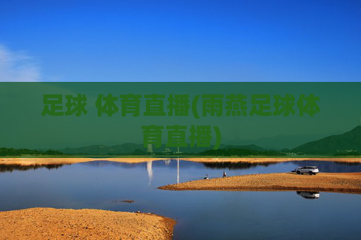 足球 体育直播(雨燕足球体育直播)