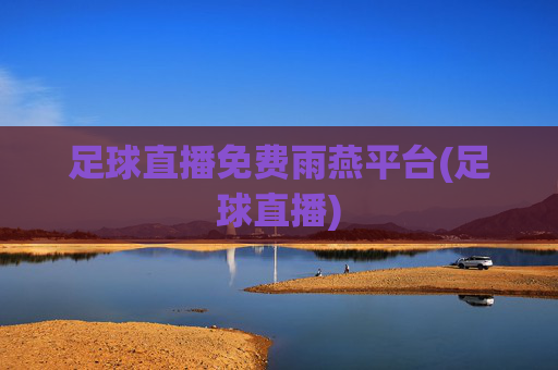 足球直播免费雨燕平台(足球直播)