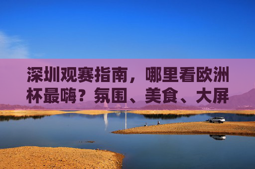深圳观赛指南,哪里看欧洲杯最嗨?氛围、美食、大屏全攻略,深圳欧洲杯观赛全攻略,氛围美食大屏嗨翻指南