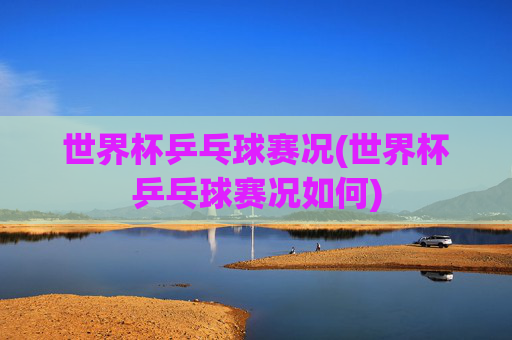 世界杯乒乓球赛况(世界杯乒乓球赛况如何)