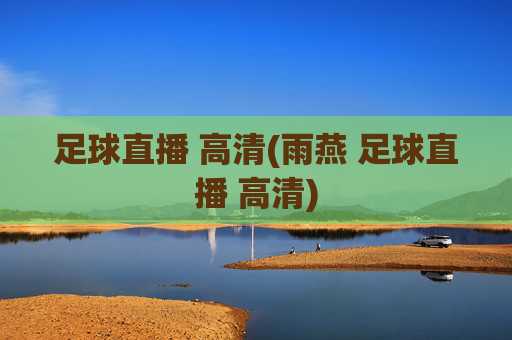足球直播 高清(雨燕 足球直播 高清)
