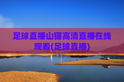 足球直播山猫高清直播在线观看(足球直播)