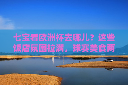 七宝看欧洲杯去哪儿?这些饭店氛围拉满,球赛美食两不误!七宝欧洲杯观赛,饭店氛围拉满,球赛美食两不误