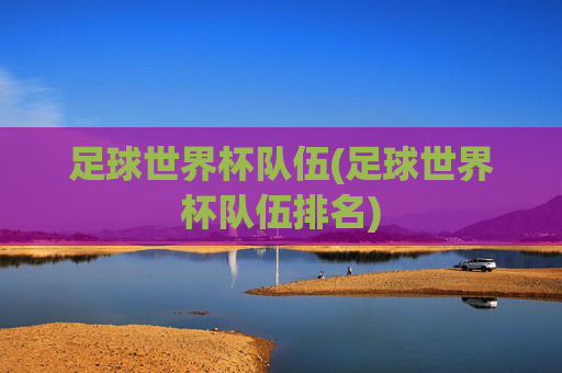 足球世界杯队伍(足球世界杯队伍排名)