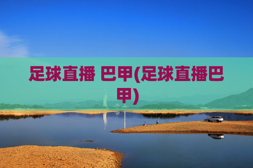 足球直播 巴甲(足球直播巴甲)