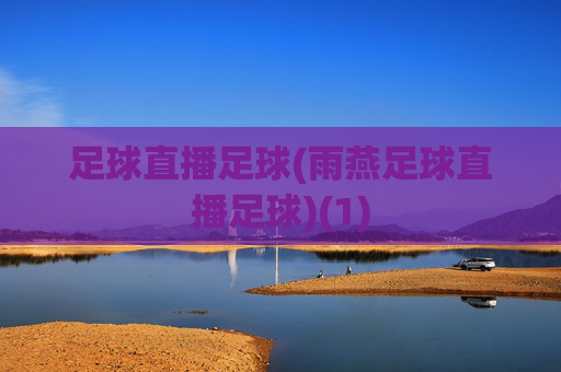 足球直播足球(雨燕足球直播足球)(1)