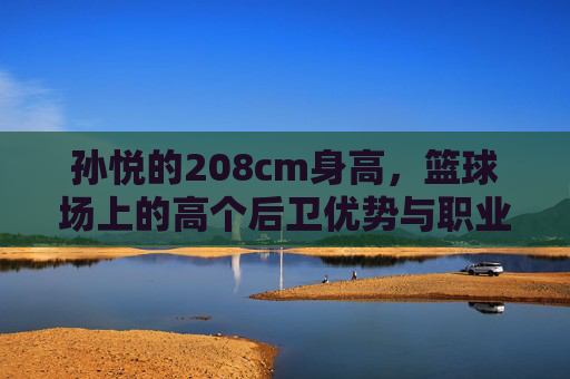 孙悦的208cm身高,篮球场上的高个后卫优势与职业印记