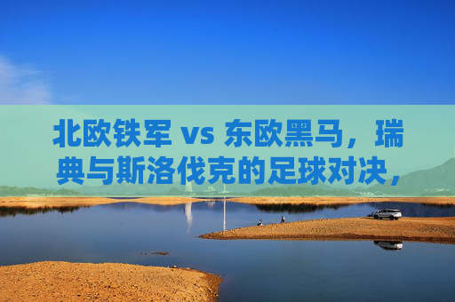 北欧铁军 vs 东欧黑马，瑞典与斯洛伐克的足球对决，北欧铁军VS东欧黑马，瑞典斯洛伐克足球对决