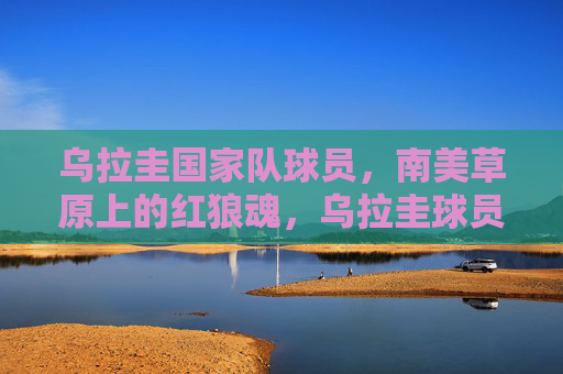 乌拉圭国家队球员，南美草原上的红狼魂，乌拉圭球员，南美草原上的红狼魂