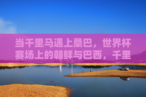 当千里马遇上桑巴，世界杯赛场上的朝鲜与巴西，千里马遇上桑巴，世界杯赛场上的朝鲜与巴西
