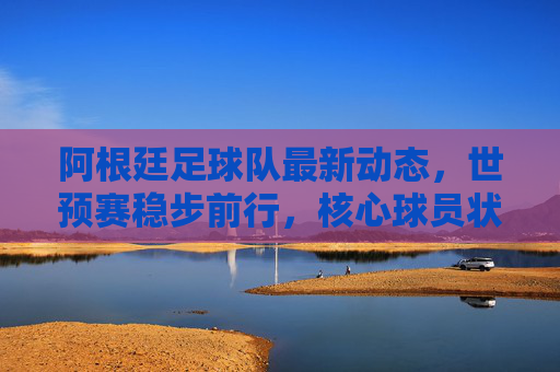 阿根廷足球队最新动态，世预赛稳步前行，核心球员状态引关注，阿根廷世预赛稳步前行，核心球员状态引关注