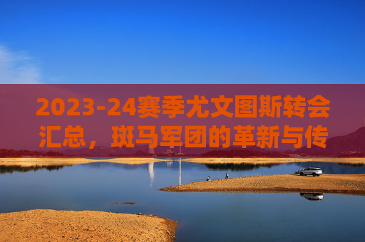2023-24赛季尤文图斯转会汇总，斑马军团的革新与传承，2023-24赛季尤文图斯转会，斑马军团的革新与传承