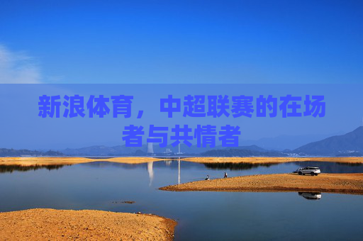 新浪体育,中超联赛的在场者与共情者