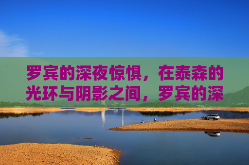 罗宾的深夜惊惧,在泰森的光环与阴影之间,罗宾的深夜惊惧,泰森光环与阴影之间