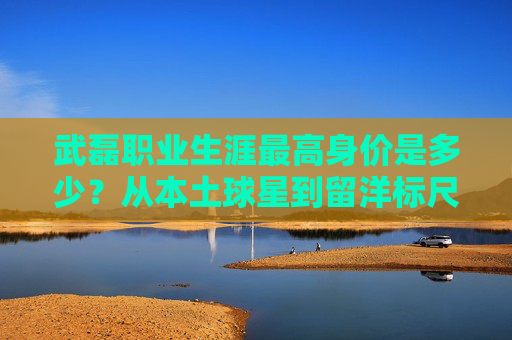 武磊职业生涯最高身价是多少?从本土球星到留洋标尺的身价变迁,武磊职业生涯最高身价,从本土球星到留洋标尺的身价变迁