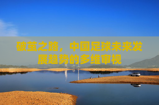 破茧之路,中国足球未来发展趋势的多维审视