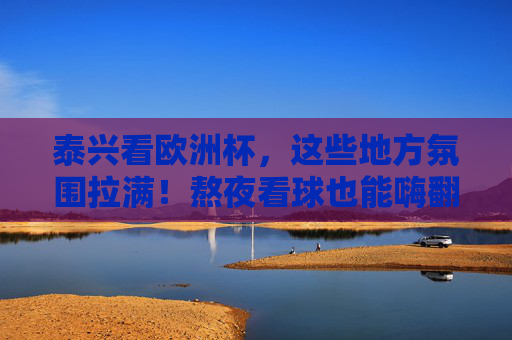 泰兴看欧洲杯,这些地方氛围拉满!熬夜看球也能嗨翻全场,泰兴看欧洲杯,氛围拉满,熬夜嗨翻全场!