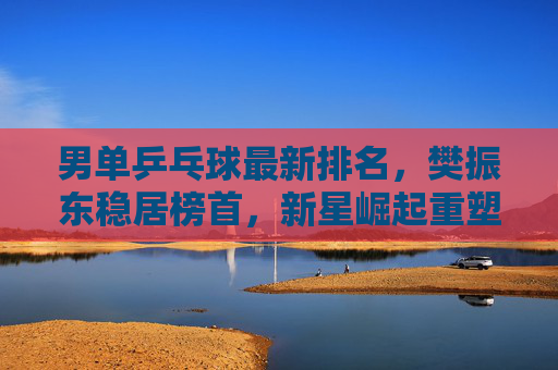 男单乒乓球最新排名，樊振东稳居榜首，新星崛起重塑格局，男单乒坛最新排名，樊振东稳居榜首，新星崛起重塑格局