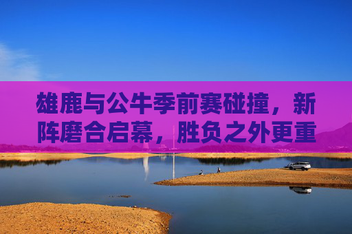 雄鹿与公牛季前赛碰撞，新阵磨合启幕，胜负之外更重成长，雄鹿公牛季前赛，新阵磨合启幕，成长重于胜负