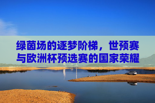 绿茵场的逐梦阶梯,世预赛与欧洲杯预选赛的国家荣耀之路,绿茵逐梦路,国家荣耀的世预赛与欧洲杯征程