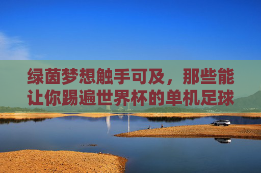 绿茵梦想触手可及,那些能让你踢遍世界杯的单机足球游戏,绿茵梦想触手可及,踢遍世界杯的单机足球游戏