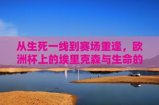 从生死一线到赛场重逢,欧洲杯上的埃里克森与生命的礼赞,埃里克森欧洲杯,从生死一线到赛场重逢的生命礼赞