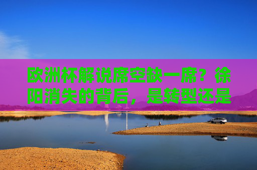 欧洲杯解说席空缺一席?徐阳消失的背后,是转型还是回归?欧洲杯解说席空缺,徐阳消失,转型还是回归?